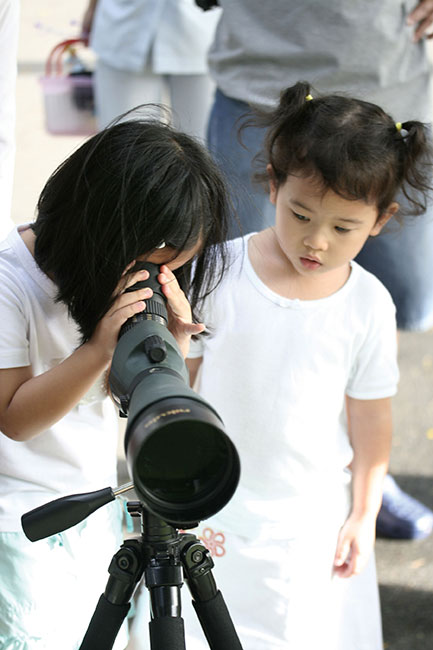 สร้างนิสัยความปรองดองให้กับลูก