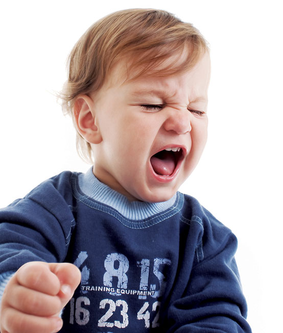 พฤติกรรมการพูดหยาบคาย