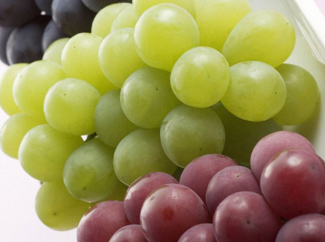 องุ่น (Grape)