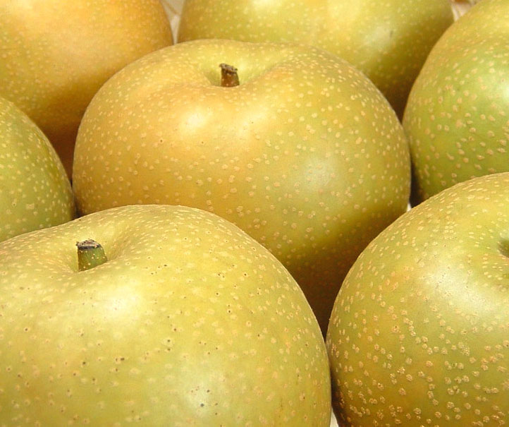 สาลี่ (Pear)
