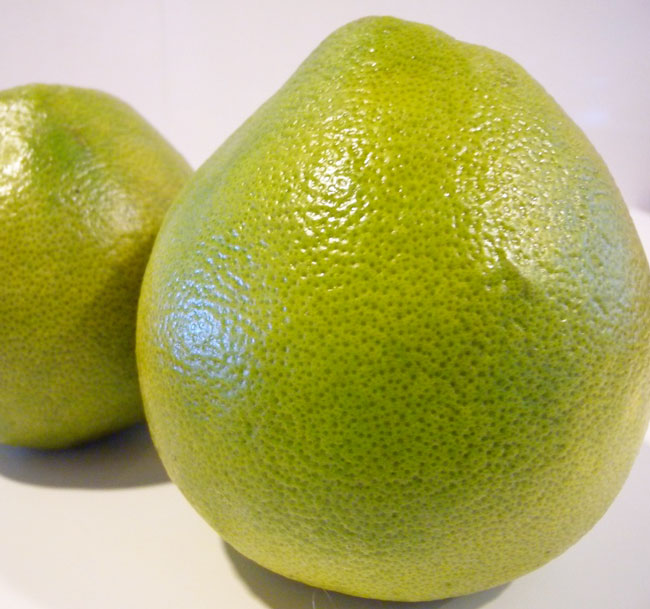 ส้มโอ (Pomelo)