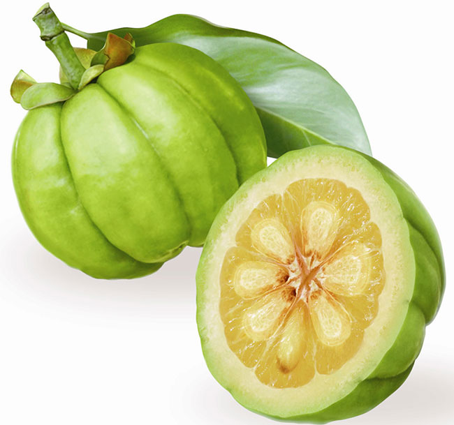 ส้มแข็ก (Garcinia)