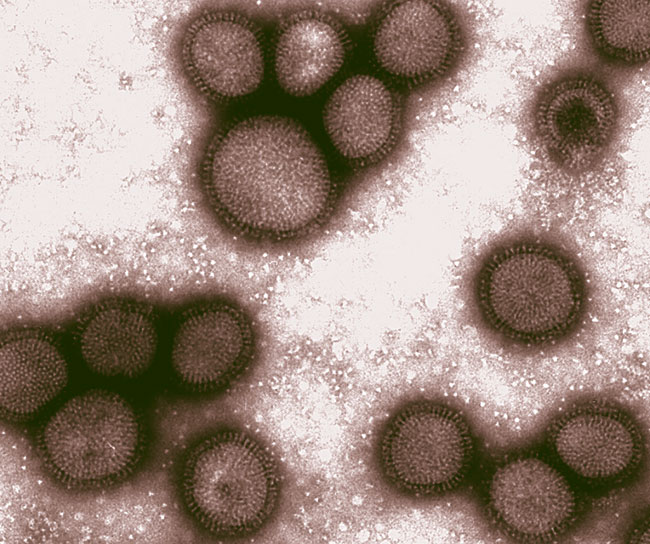 โรคสุดฮิตช่วงหน้าร้อน