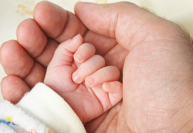 The hands มือน้อยๆ ของหนู