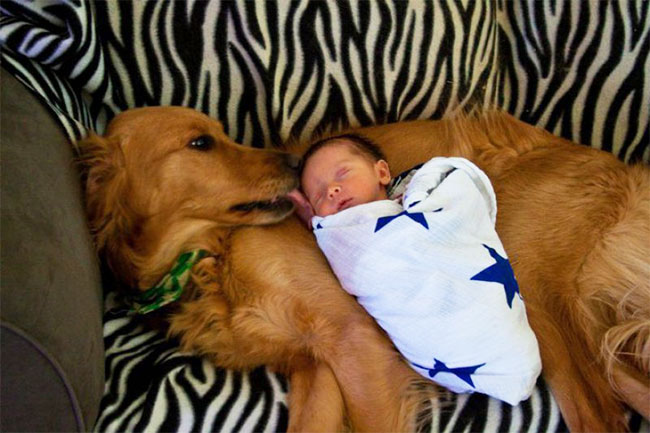 อย่าให้ลูกนอนเตียงเดียวกับน้องหมา