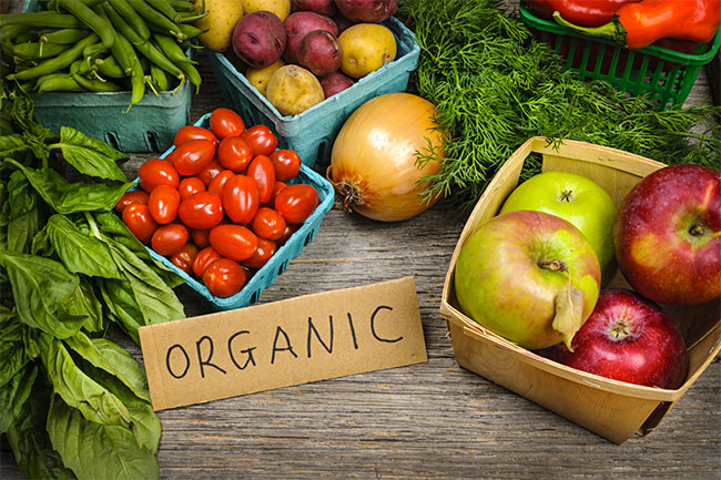 อาหารออร์แกนิก Organic Food