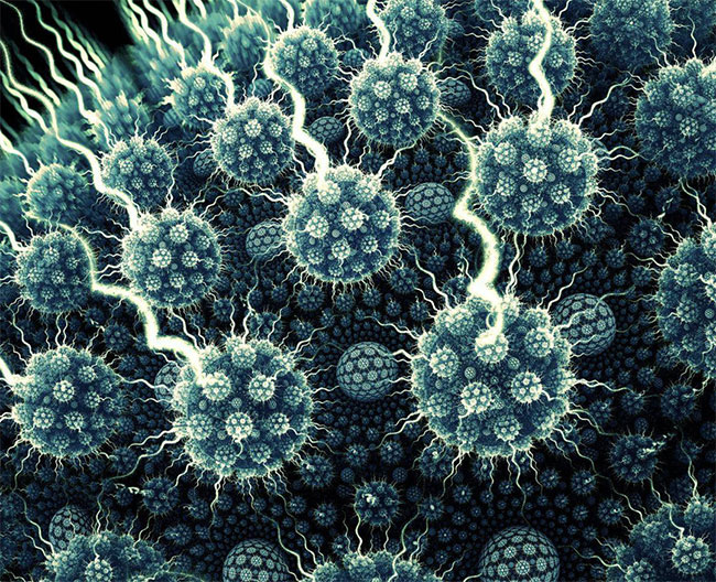 รู้จักกับไวรัสโรต้ากันก่อน