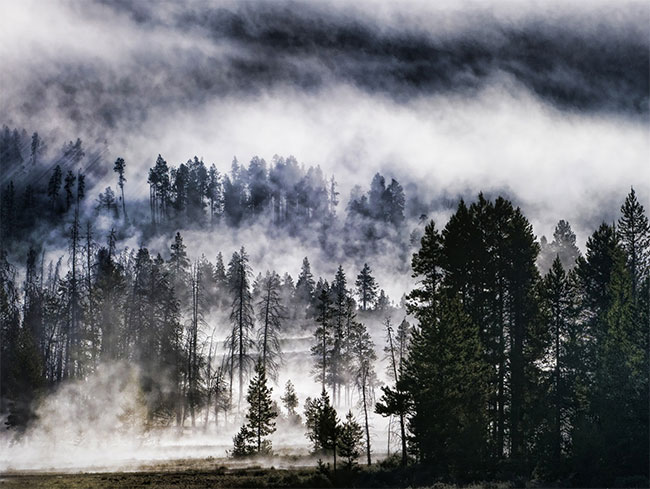 เมื่ออากาศเปลี่ยนแปลง