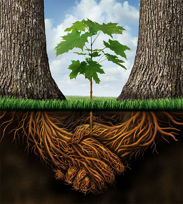 โตไปไม่โกง ปลูกฝังคุณธรรมเด็ก