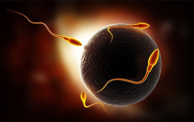 ยาเม็ดคุมกำเนิดสำหรับผู้ชาย