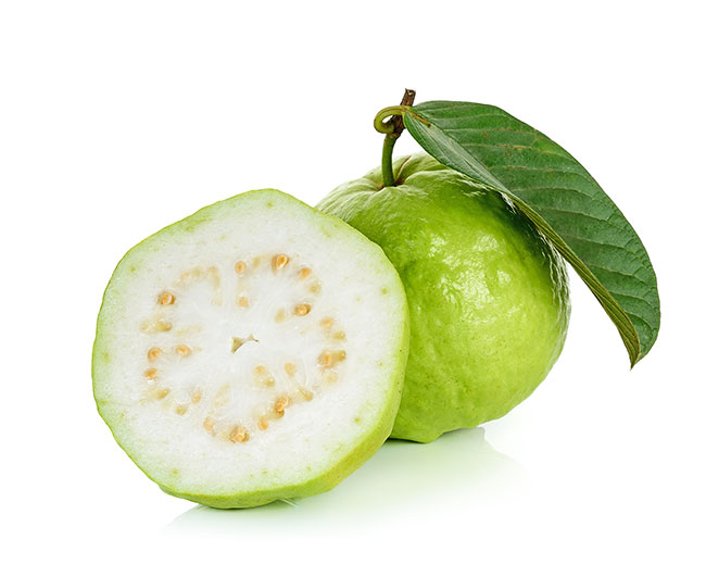 ฝรั่ง ผลไม้รักษาโรค (Guava)