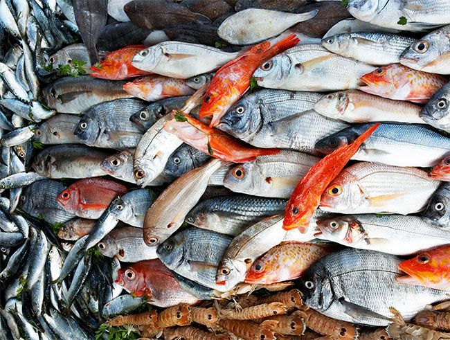 กินปลาแก้อาการปวดข้อปวดเข่า