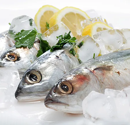 เลือกซื้อ และเก็บรักษาปลาอย่างไรดี