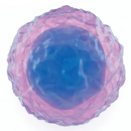 มาทำความรู้จักโรคตากันเถอะ