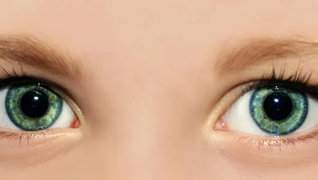 ตรวจจับต้อหินเรื้อรังโรคต้อหินภายในดวงตา