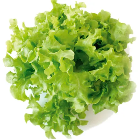 ไฟโตสเตอรอล คืออะไร