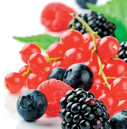 คุณค่าของผักและผลไม้