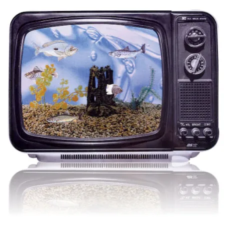 ทีวี อุปสรรคการเรียนรู้ภาษาของทารก