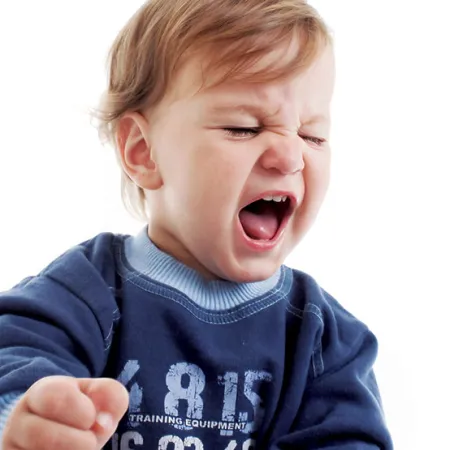 พฤติกรรมการพูดหยาบคาย