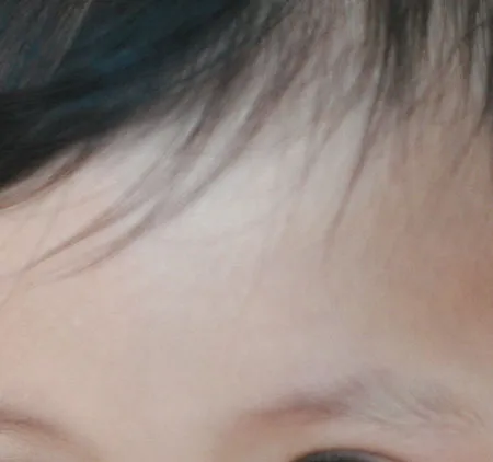 พัฒนาการของสมอง (Development of the Brain)