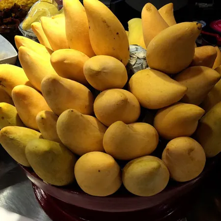 มะม่วง (Mango)