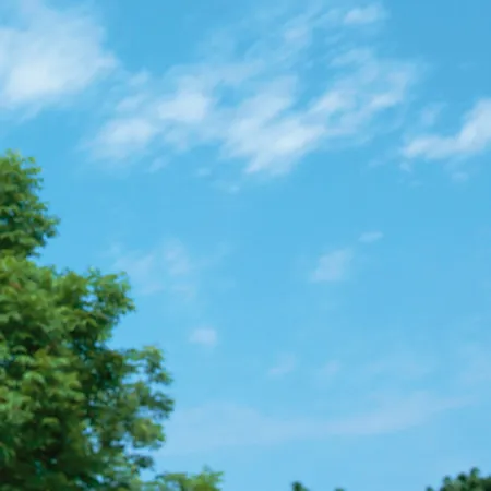 The Air Out There อากาศแย่ๆ ลูกแม่อยู่อย่างไร