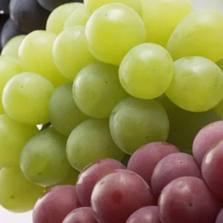 องุ่น (Grape)
