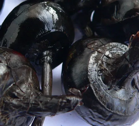 แห้ว (Truffle)