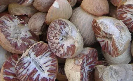 หมาก (Betel nut)