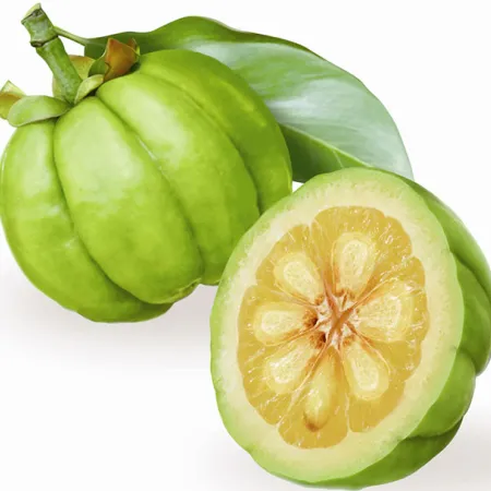 ส้มแข็ก (Garcinia)