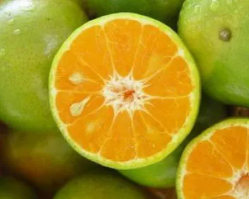 ส้มเขียวหวาน  (Tangerine)
