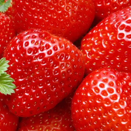 สตรอบเบอรี่ (Strawberry)