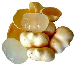 ลูกตาล (Palmyra palm)