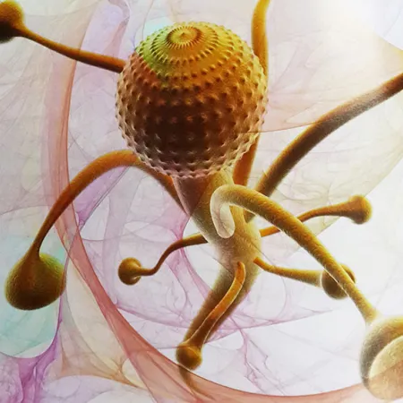 กรองมะเร็งลำไส้ใหญ่ด้วยตัวเอง