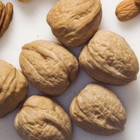 ถั่วเปลือกแข็ง ความลับอายุวัฒนะ