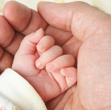 The hands มือน้อยๆ ของหนู