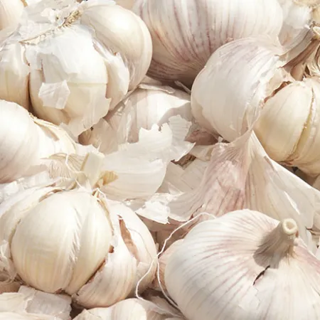 7 คุณประโยชน์ของกระเทียม ที่คุณอาจคาดไม่ถึง