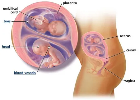 ฝากครรภ์ที่ไหนดี
