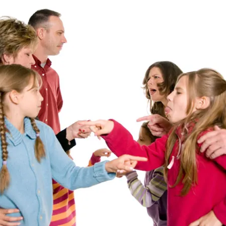 การชิงดีชิงเด่นระหว่างพี่น้อง