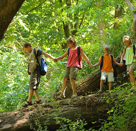 ท่องเที่ยวอย่างยั่งยืนคืนสีเขียวให้ธรรมชาติ