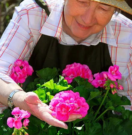 คลายวิตก เรื่อง ตาต้อกระจก