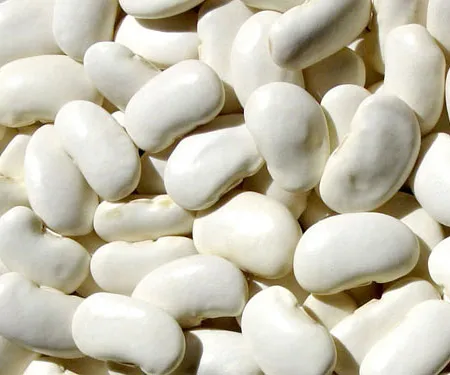 ถั่วขาว มหัศจรรย์ พลังลดความอ้วน