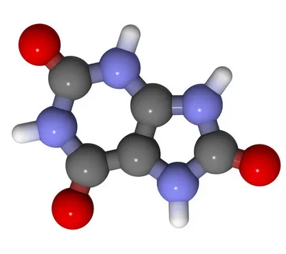 กรดยูริกสูง เสี่ยงกระดูกหัก