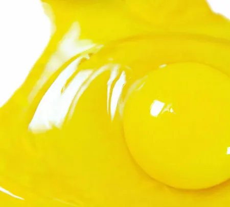 กินไข่เสี่ยงต่อการเป็นโรคหลอดเลือดหัวใจ