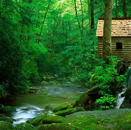 การล้างพิษ มีข้อดีมีข้อเสียอะไรหรือไม่