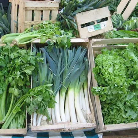 กินผัก เพื่อผอมเพรียว