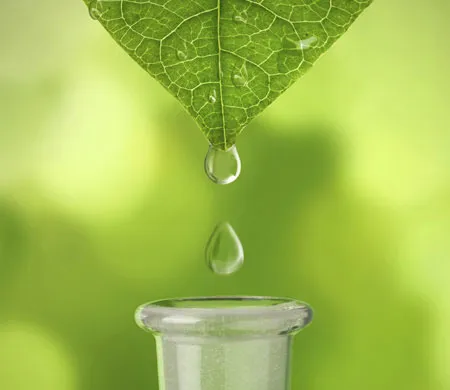 สารสกัดจากธรรมชาติที่ช่วยบล็อกแป้ง