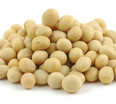 ถั่วเหลือง ลดเสี่ยง ไขมันพอกตับ