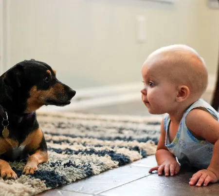 การเลี้ยงสัตว์สามารถช่วยส่งเสริมพัฒนาการให้กับลูกน้อย