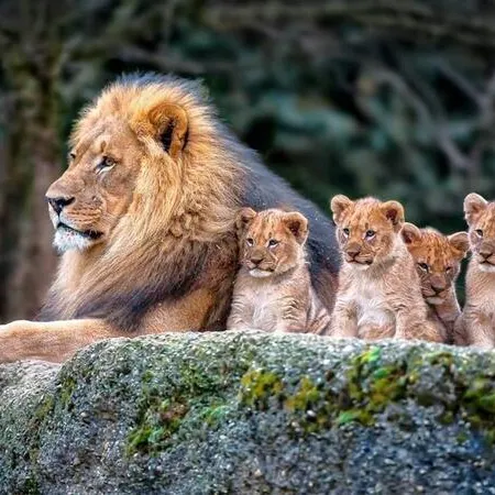 กว่าจะเลี้ยงดูลูกแต่ละคนให้เติบใหญ่ เมื่อถึงเวลาตัดสินใจ